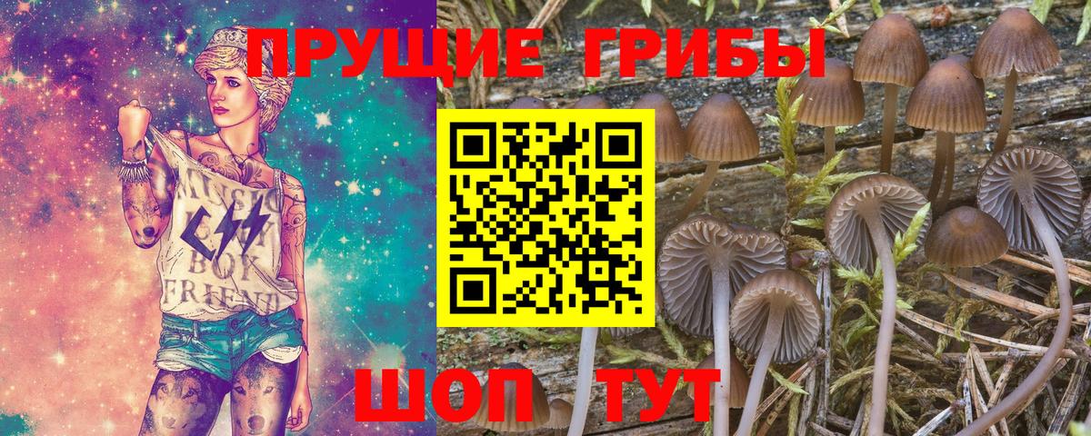 купить наркоту  Галлюциногенные грибы MAGIC MUSHROOMS  Вход с VPN  Галлюциногенные грибы Magic Shrooms  Димитровград 