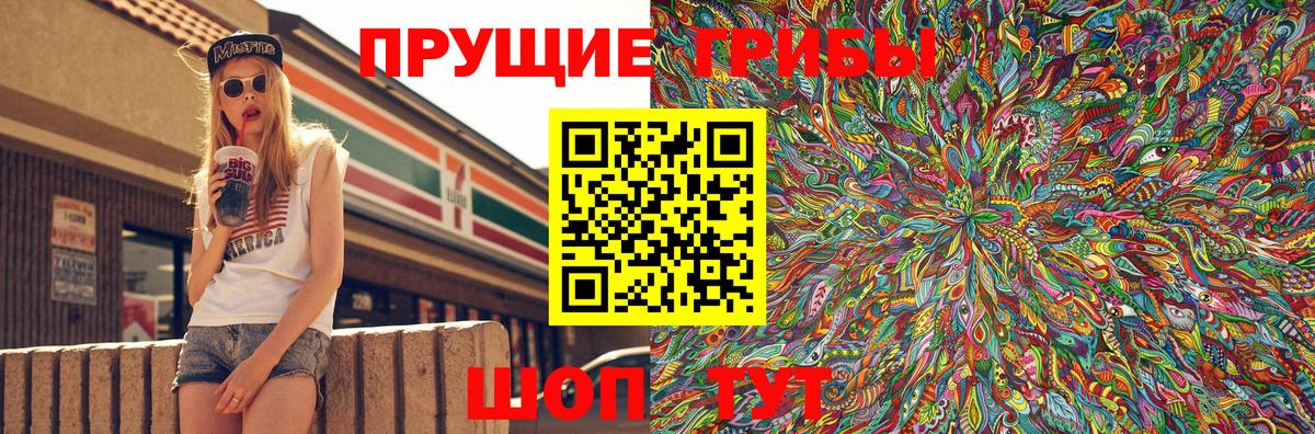 Галлюциногенные грибы Psilocybe Димитровград